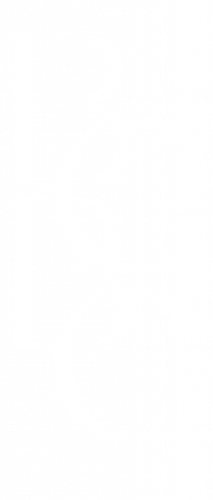 BCBG Logo White